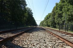 Staalspoorlijnen lopen door een bosrijke omgeving met houtschakels en ballast, terwijl boven de rails elektriciteitskabels hangen tussen lange paalconstructies. De sporen leiden naar een punt in de verte.