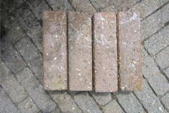 1_Wik-sporen-en-lijntjes-tussen-de-lijntjes