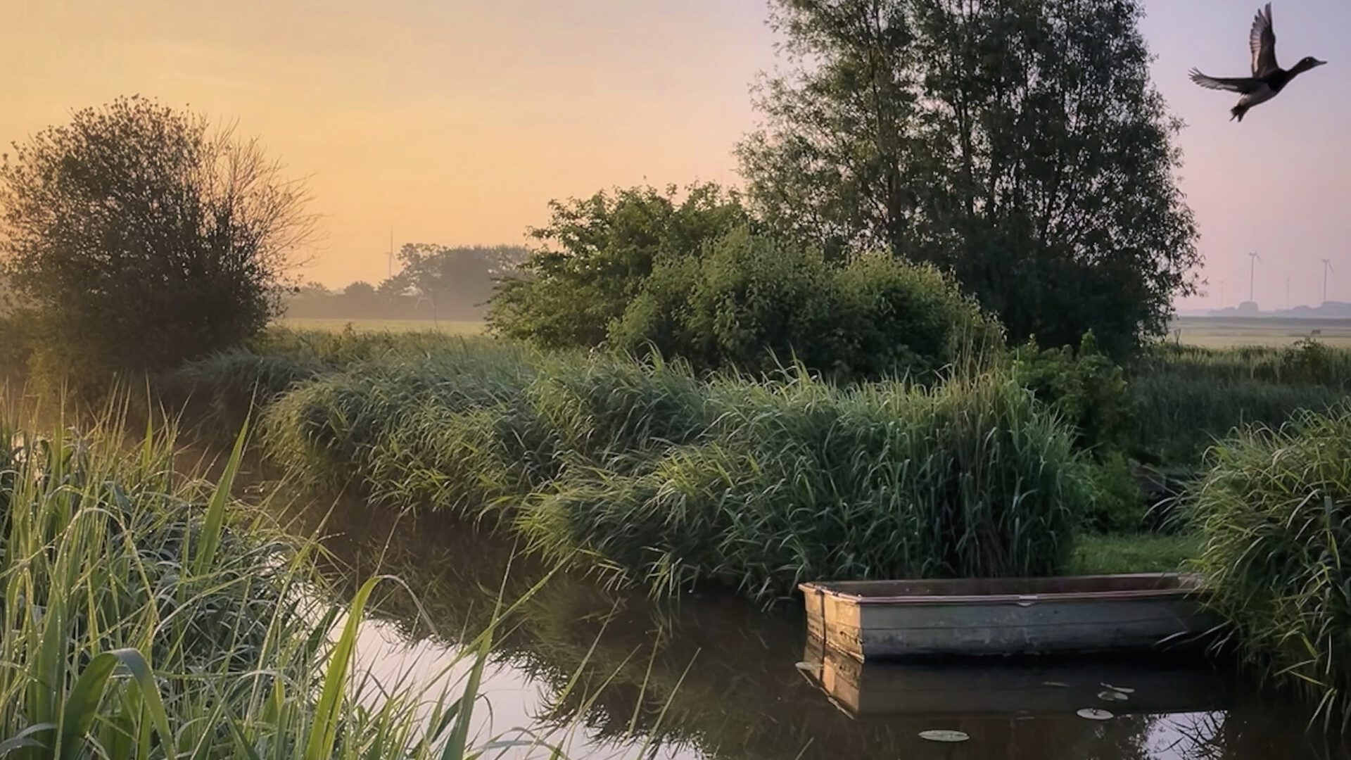 3AFBB40D-37E6-45C1-8130-0D97AE3823ED