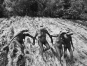 Sebastiao Salgado fotografeerde mens en planeet in een dodelijke dans