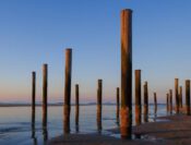 Een uitgelicht geschreven en ervaren door Elice Jongerius!