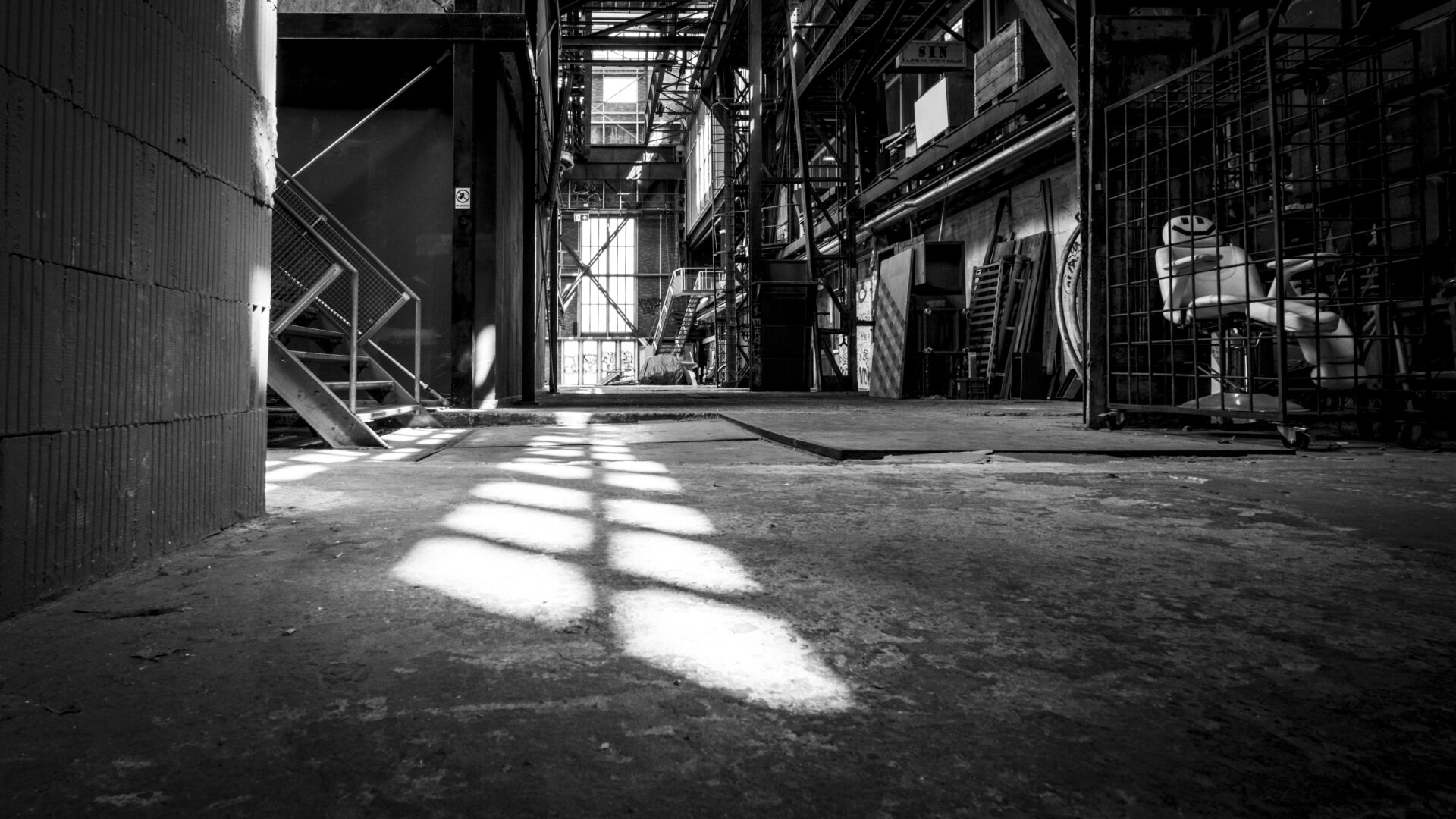 Elice Jongerius adam