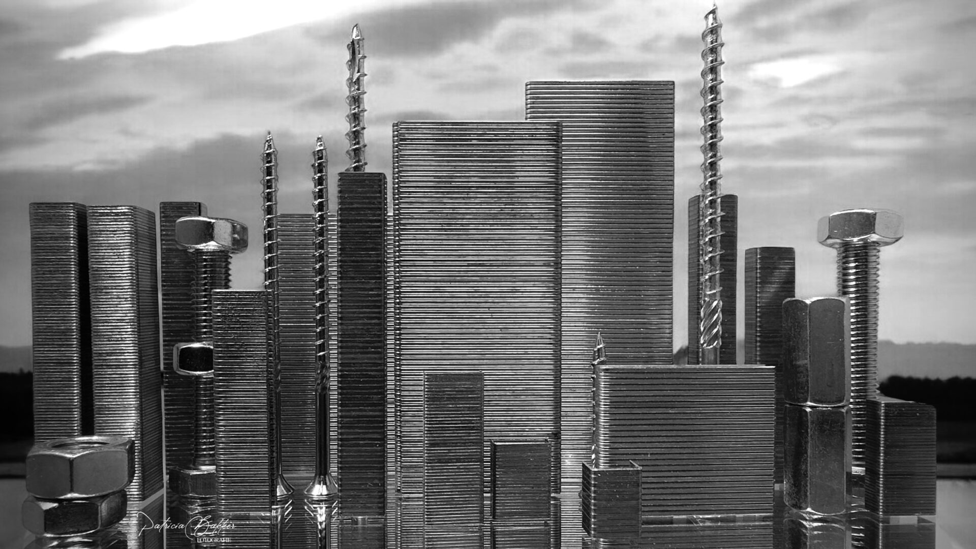 Patricia Bakker; Skyline